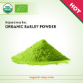 HACCP factory Premium Quality superfood  barley grass powder organic